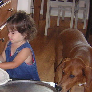 Meet your Posher, Nora